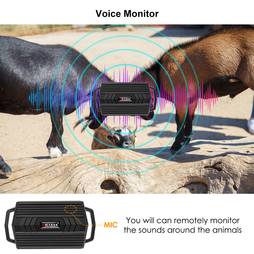 Livestock GPS Tracking Device MiCODUS ML935 Anti-lost Voice Monitoring Waterproof Animals GPS Tracker Collar Realtime Location