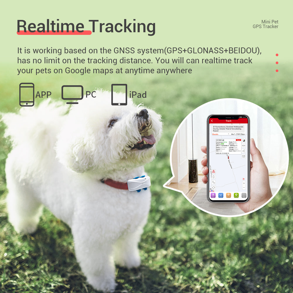 Dogs Cats GPS Collar 4G MiCODUS MP80G Waterproof Anti-lost Mini Smart Pet GPS Tracker