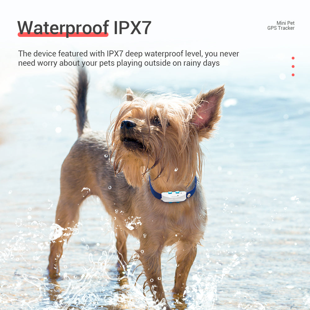 Dogs Cats GPS Collar 4G MiCODUS MP80G Waterproof Anti-lost Mini Smart Pet GPS Tracker