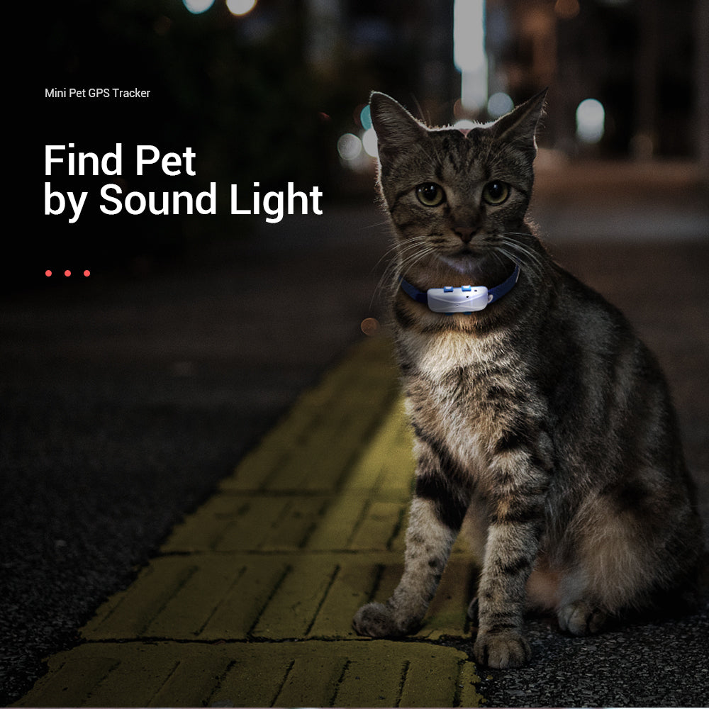 Dogs Cats GPS Collar 4G MiCODUS MP80G Waterproof Anti-lost Mini Smart Pet GPS Tracker