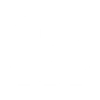 Electronic fence